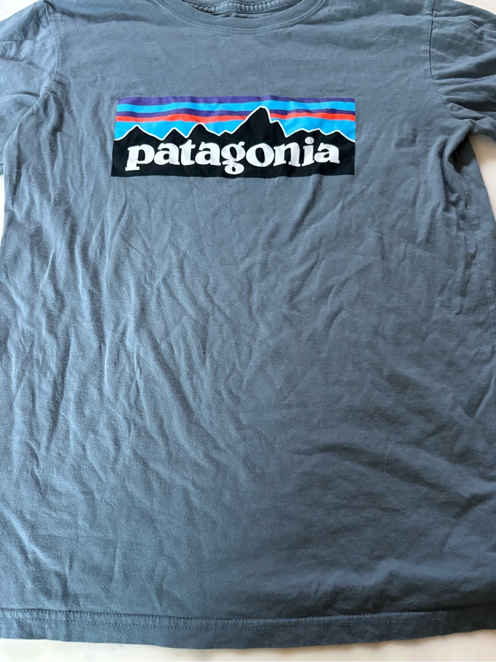 Patagonia Short-Sleeve Logo Tee in Slate Blue with Multicolor Graphic